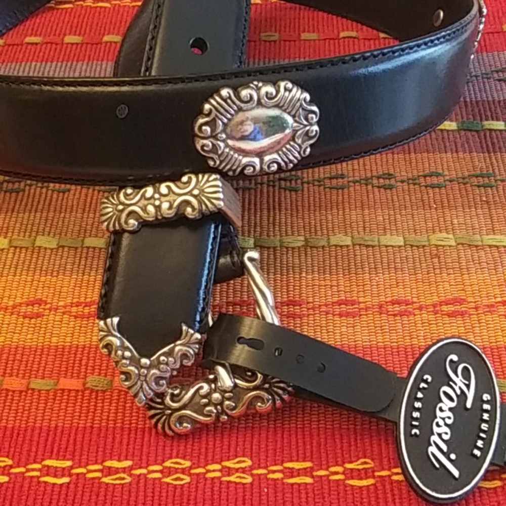 Fossil Belt